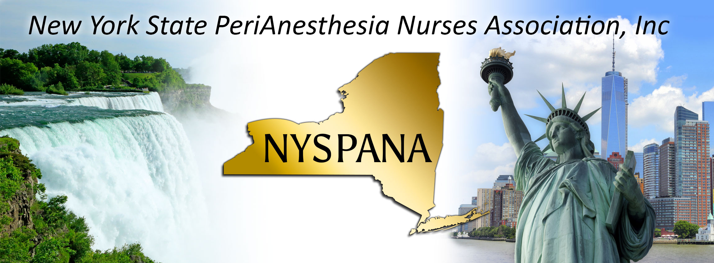 NYSPANA-banner2018