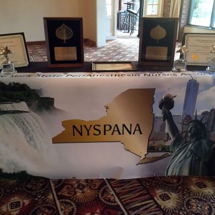 NYSPANA State Conference in Latham, NY on October 20-21st 2016